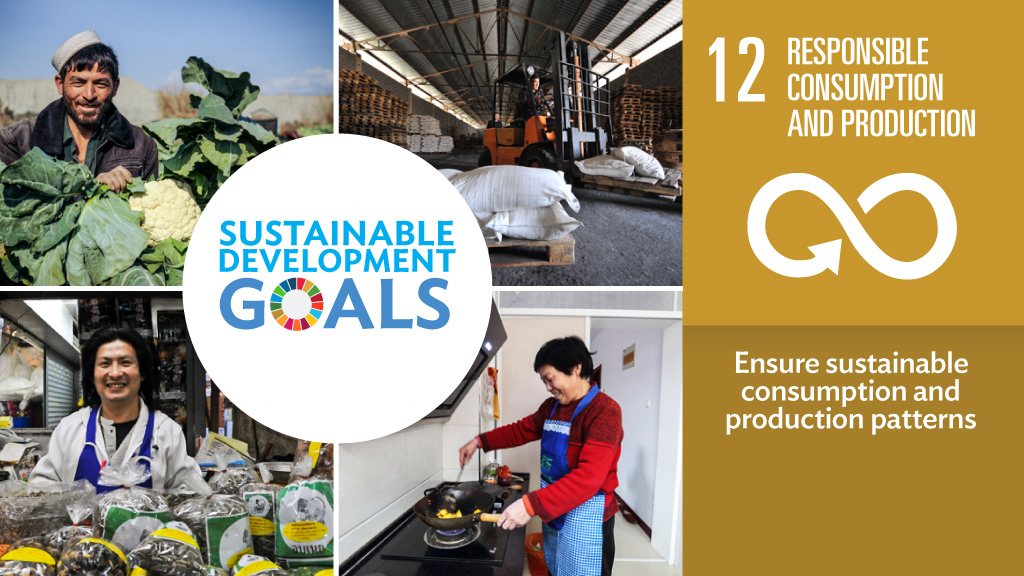 SDG Knowledge Base, Global Program Tracker & Stakeholder Portal